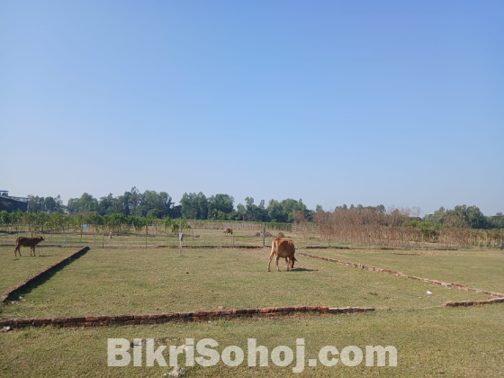 আবাসন জমি ৩ কাঠা